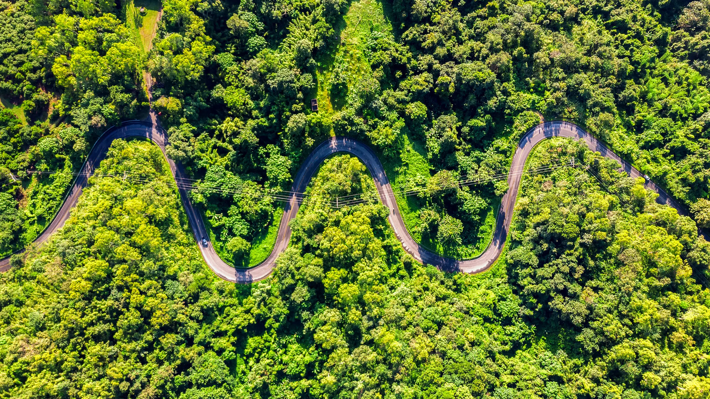 Vista aérea de uma estrada em curvas no meio da mata, gravada pelo drone